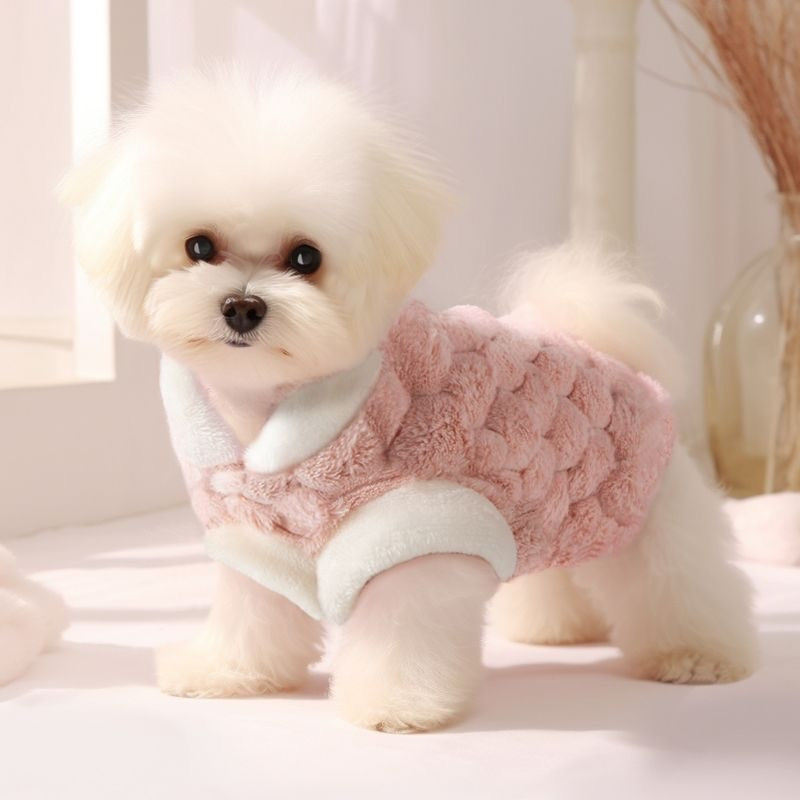 可爱狗狗冬天衣服博美幼犬带牵引扣秋季保暖棉服外出遛狗背心外