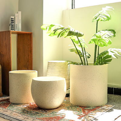 庭院创意客厅橡皮树简约圆球形