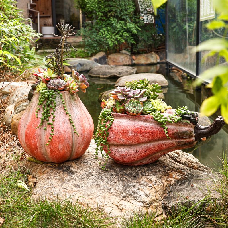 多肉微景观生态瓶多肉植物组合盆栽盆器diy礼物种植摆件绿植花盆