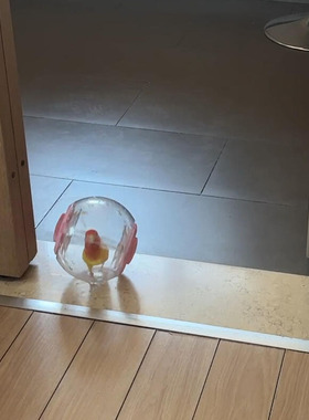 新款鹦鹉玩具解闷自嗨小太阳牡丹鹦鹉耐啃咬跑步运动滚球小鸟玩具