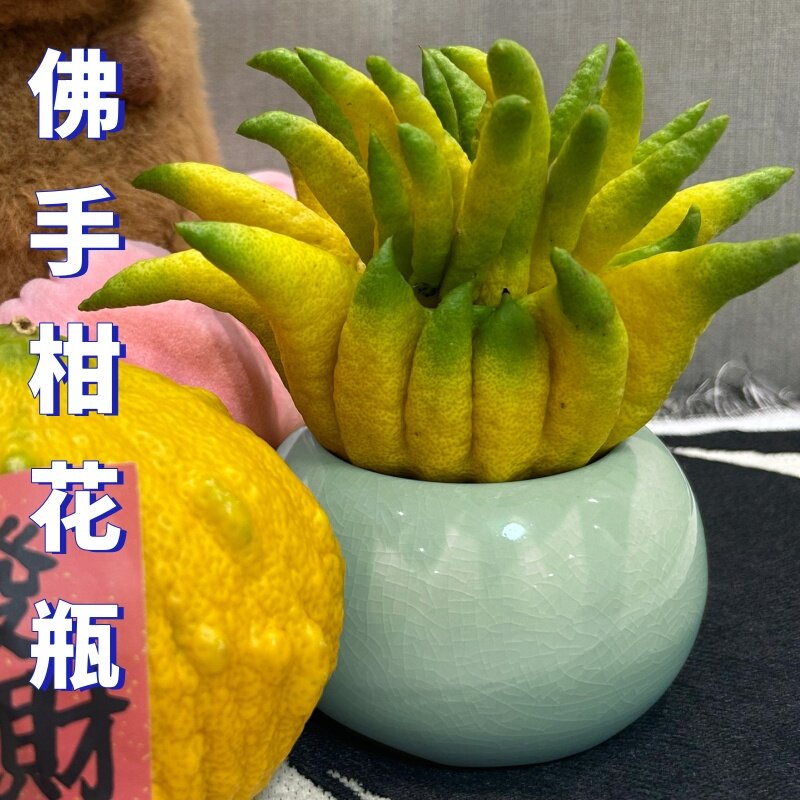 佛手柑花瓶器皿托盘专用陶瓷禅意