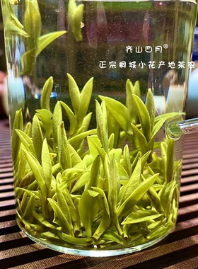 2025年新茶桐城小花清明前采摘安徽茶叶明前核心原产春茶绿茶罐装