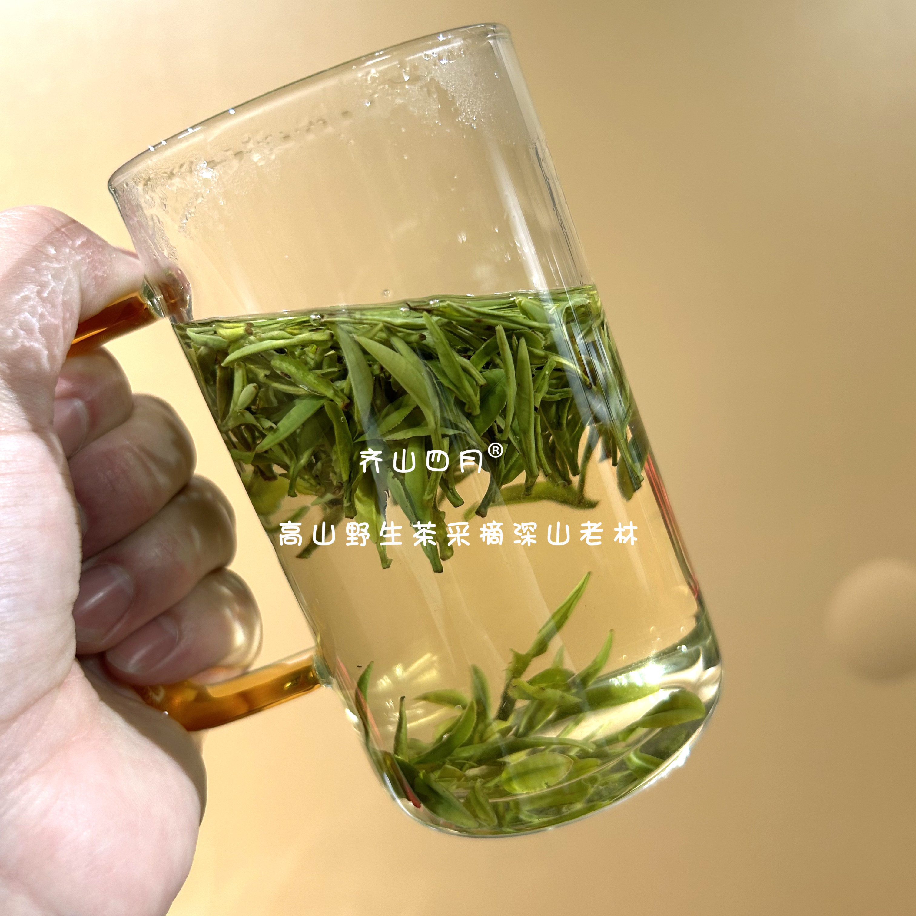 野生茶2026年新茶明前高山绿特色产区绿茶