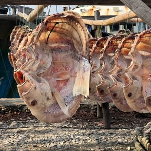 红鱼干海南儋州特产海鲜干货淡盐咸鱼干农家自产自晒送礼品整条