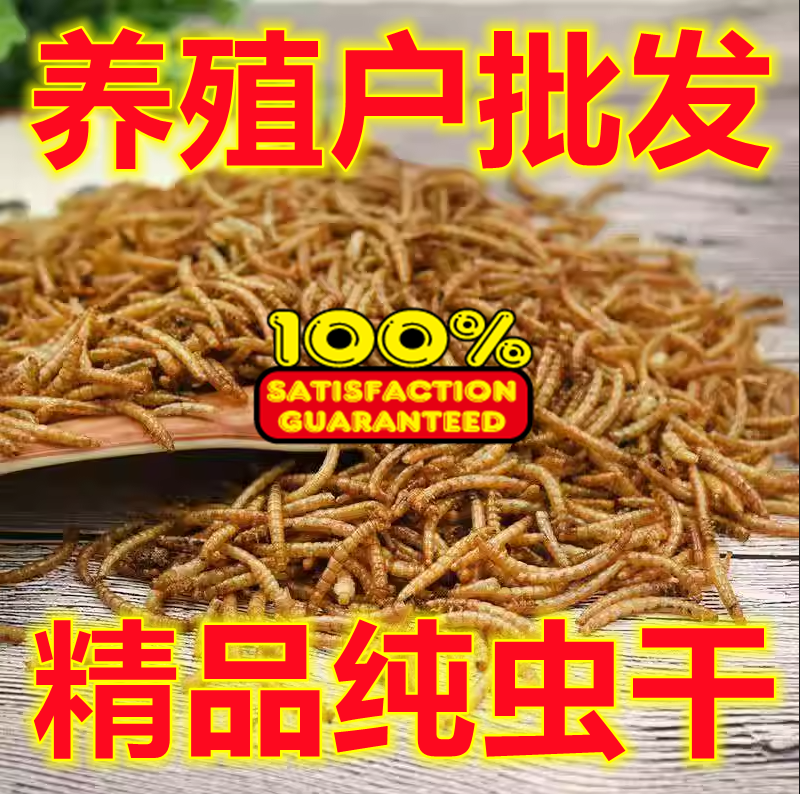 仓鼠鸟零食面包虫干无添加无黑虫