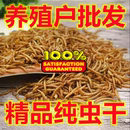 面包虫干仓鼠鸟零食无添加无黑虫精品出口级爬虫鸣虫食物基地直发