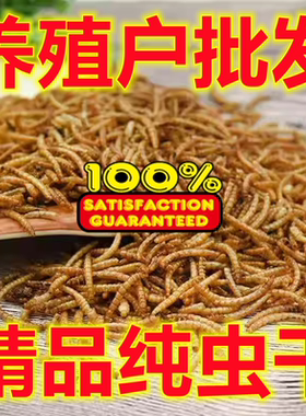 仓鼠鸟零食面包虫干无添加无黑虫