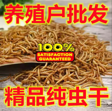 面包虫干仓鼠鸟零食无添加无黑虫精品出口级爬虫鸣虫食物基地直发