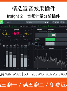Insight 2 音频计量分析效果器插件Cubase Logic录音软件混音后期