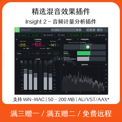 Insight 2 音频计量分析效果器插件Cubase Logic录音软件混音后期