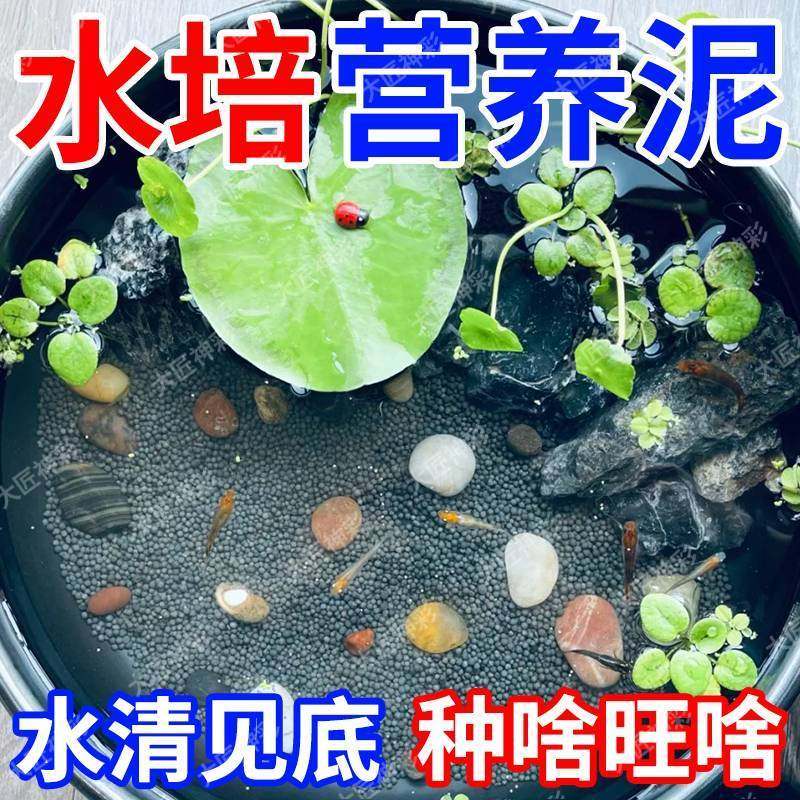 碗莲专用泥睡莲土水草泥高肥力不臭水浑水荷塘泥水培铜钱草陶粒泥