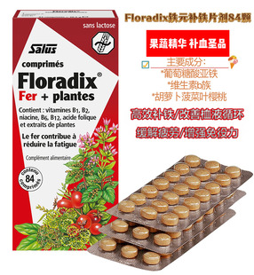 法国正品代购Salus Floradix德国铁元片剂补铁女性孕妇养气血84片