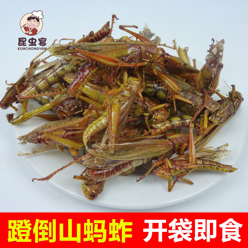 蹬倒山蚂蚱油炸蝗虫即食棉蝗大蚱蜢即食美味昆虫宴炸虫子大青蚂蚱