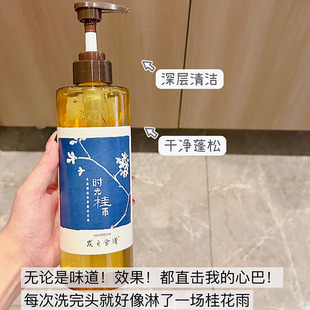 发之食谱桂花香氛洗发露水 朱珠同款 控油蓬松洗头膏时光桂雨