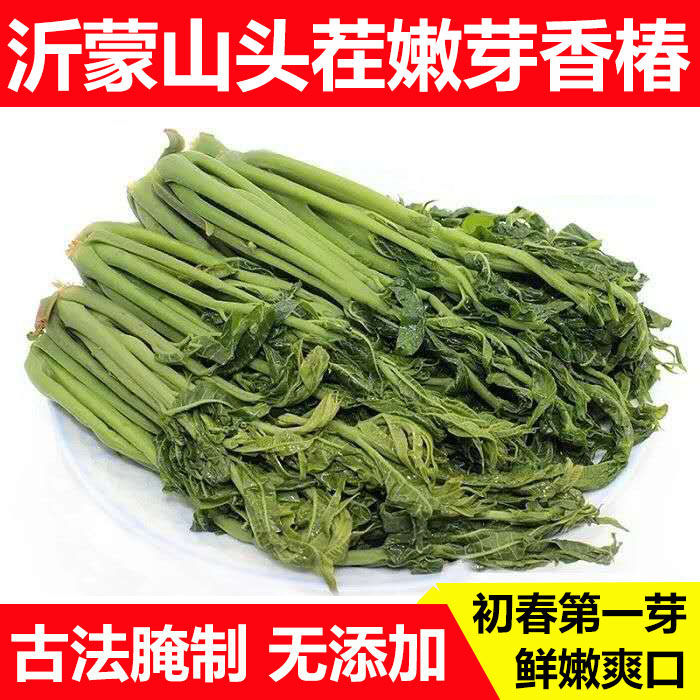 2024新鲜香椿芽咸菜沂蒙山腌制红油香椿头茬香椿下饭菜酱菜包邮