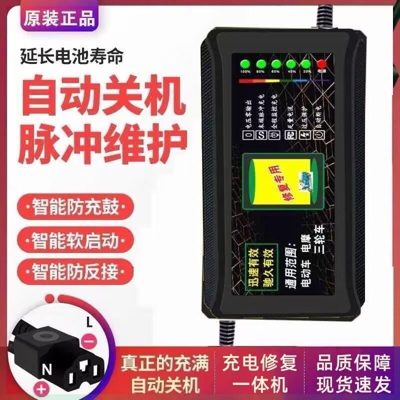 东升电动车电瓶车充电器48V12AH48V20AH60V20通用智能36V72V12V