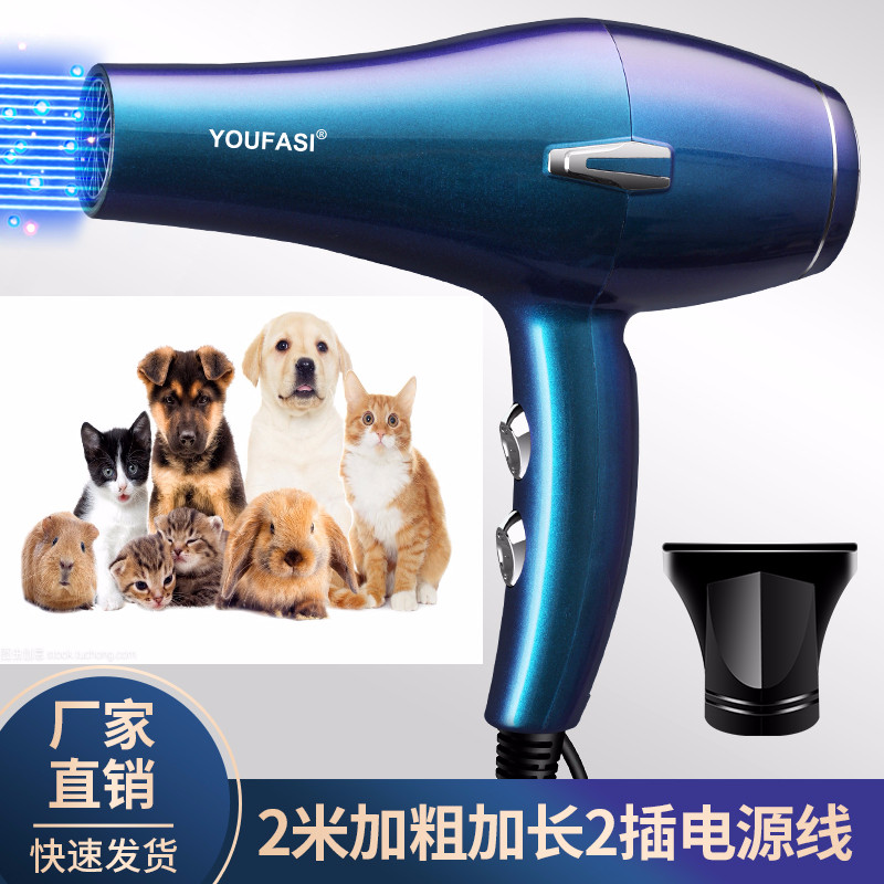 宠物吹风机大小功率猫咪泰迪金毛狗狗大小型犬专用宠物店吹水机