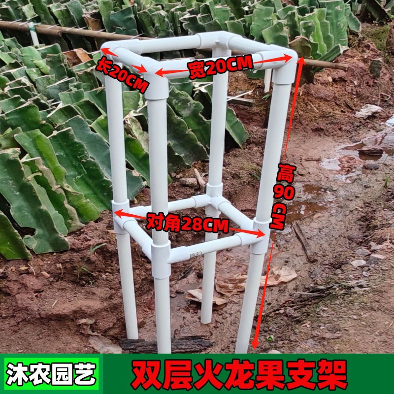 火龙果支架PVC支撑架不锈钢种植专用架花架盆栽地栽火龙果苗支架
