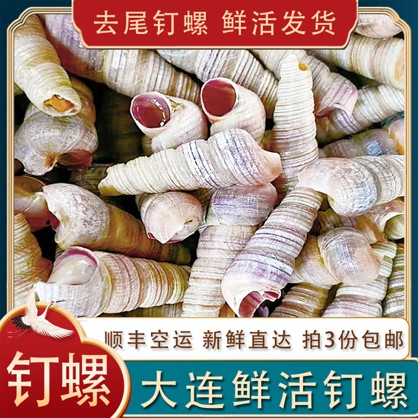 大连鲜活钉螺去尾小海锥螺丝螺尖田螺海瓜子贝类500g拍3份包邮