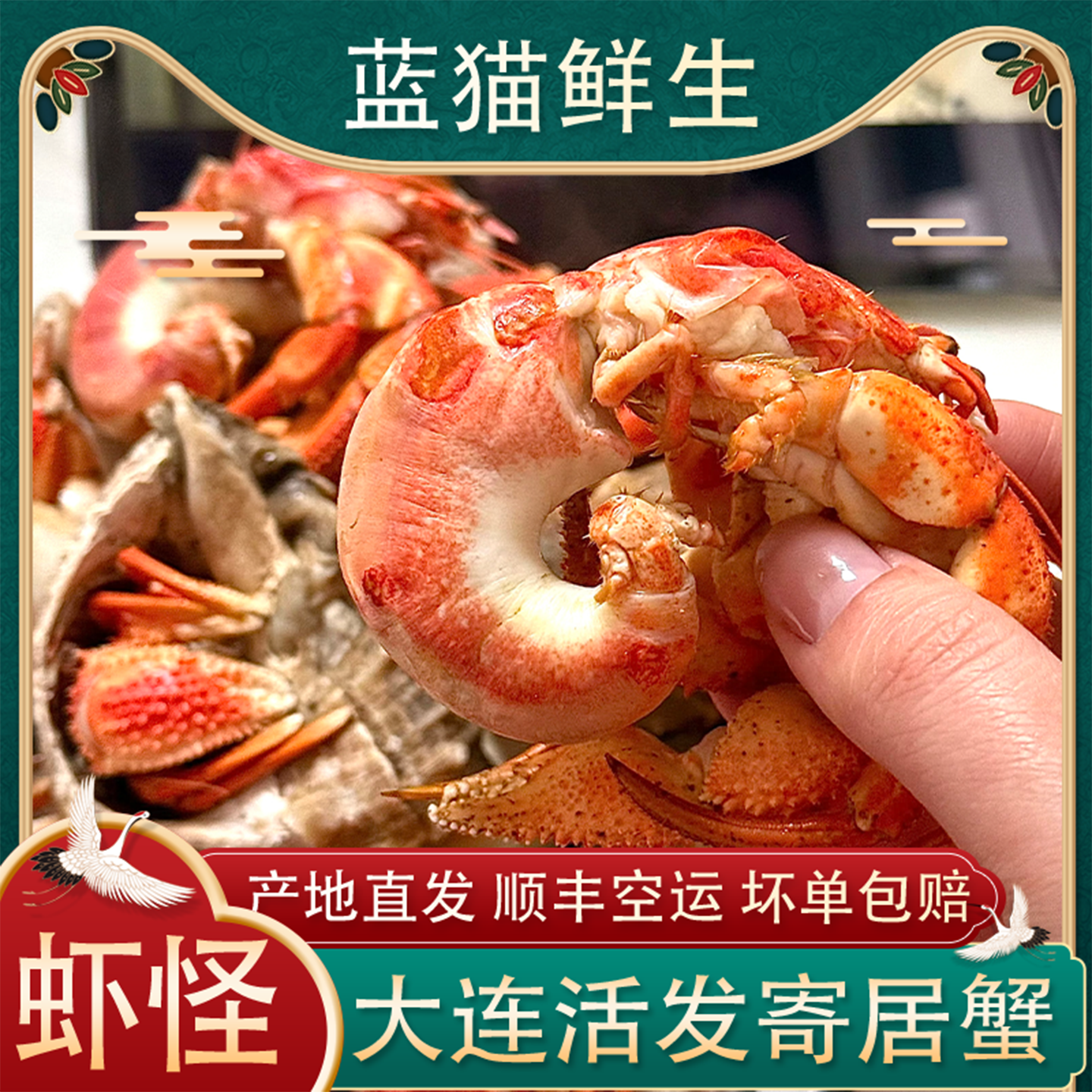 虾怪鲜活非即食寄居蟹食用新鲜带壳大连超大海怪腿钳麻辣海鲜水产