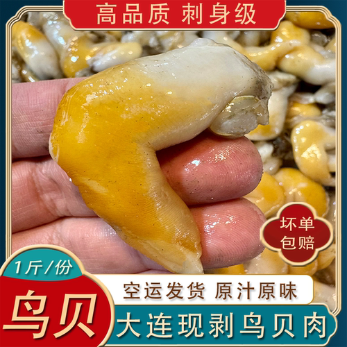 大连新鲜鸟贝肉500g顺丰发货