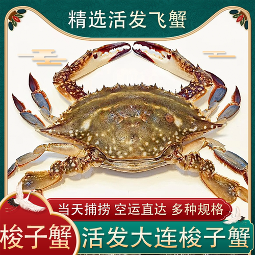 飞蟹鲜活大连空运活发多种规格