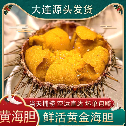 大连黄金海胆鲜活2-6只即食刺身马粪海胆黑海胆肉水盒500g