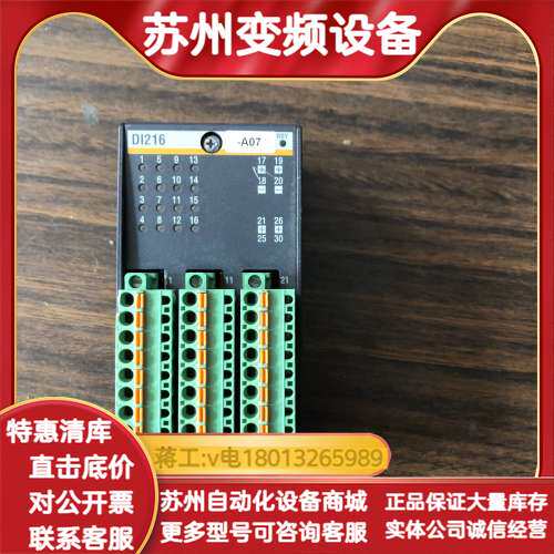巴赫曼PLC模块DI216 B9002/00