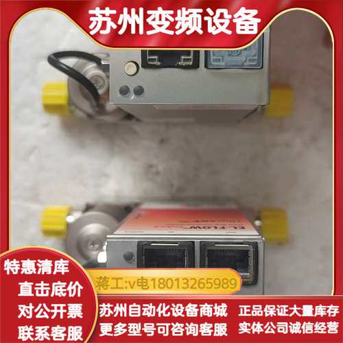 荷兰Bronkhorst EL-FLOW计 带Ether