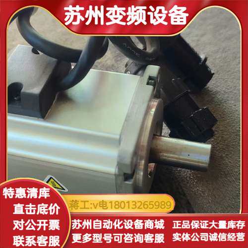 电机MSM031C-0300-NN-M0-CH0