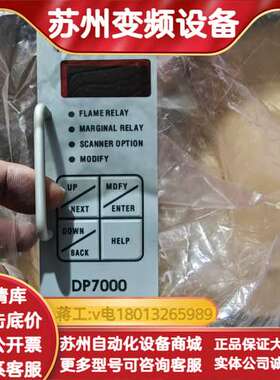 FORNEY福尼DP7000火焰检测放大器，！