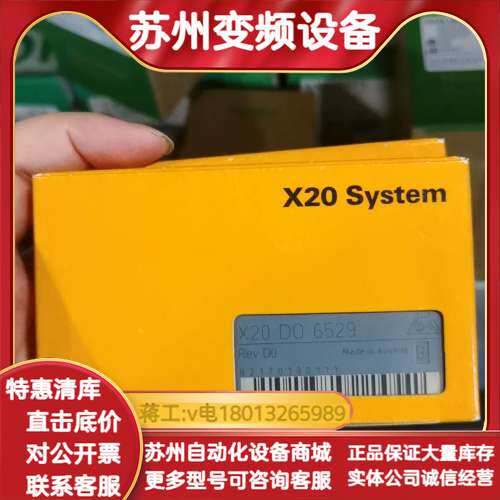 X20 System 正品，型号DO 6529，奥地利原
