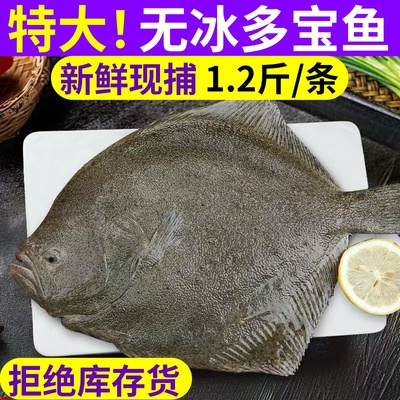 多宝鱼鲜活超大比目鱼新鲜鸦片鱼鲽鱼特大偏口海鱼八宝鱼海鲜水产