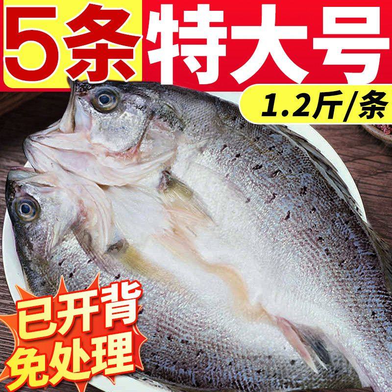 海鲈鱼开背海鱼新鲜冷冻鲜活深海鱼海鲜水产特大烤鱼半成品商用,水产肉类/新鲜蔬果/熟食,鲈鱼,淘宝优惠券,粉丝福利购,淘宝优惠卷