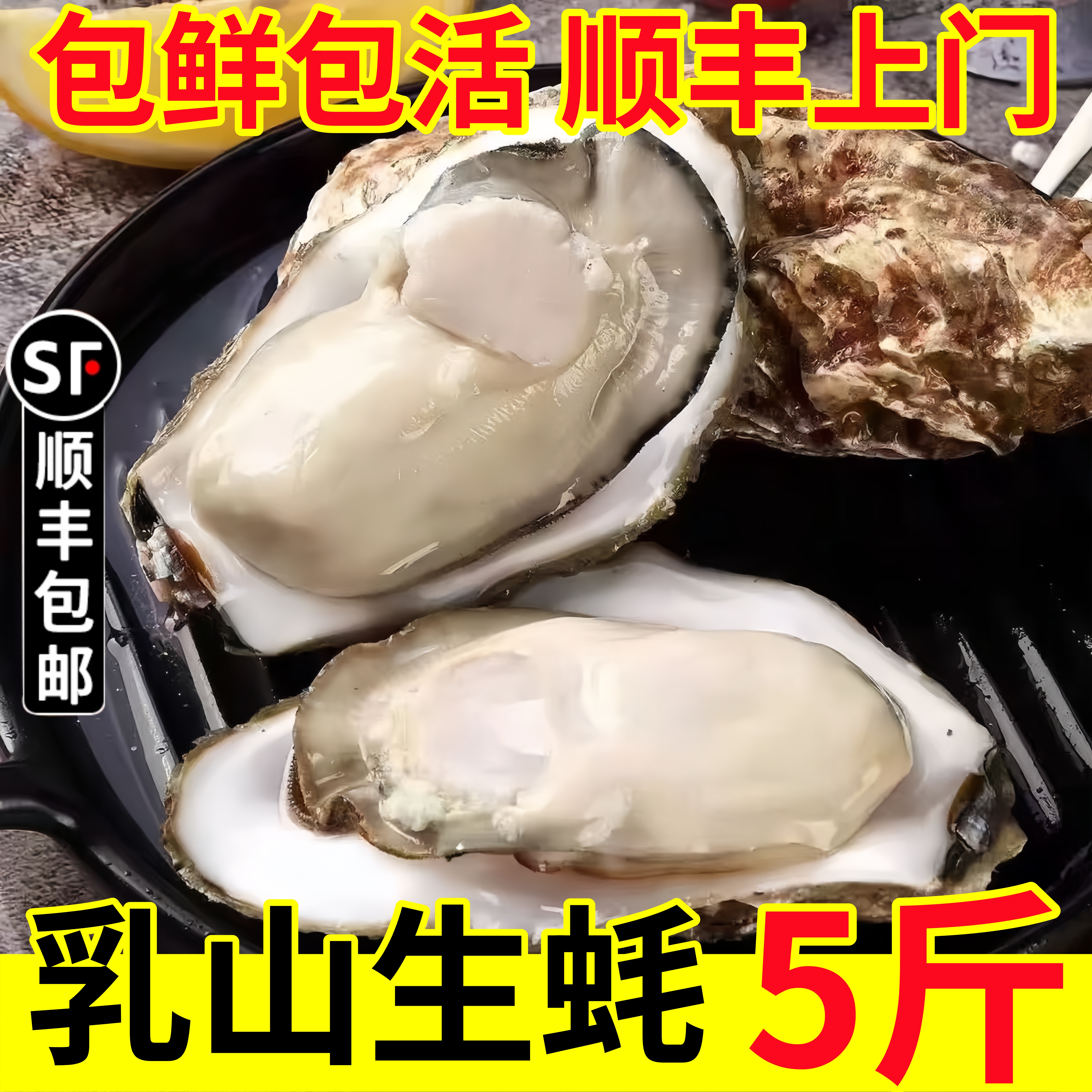 生蚝鲜活特大乳山生蚝新鲜海蛎子5斤装海鲜超大牡蛎贝类海鲜水产