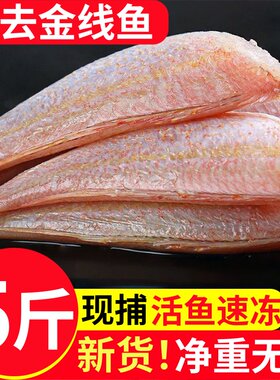 三去金线鱼新鲜冷冻红衫鱼包邮
