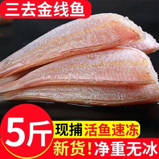 三去金线鱼新鲜冷冻海鱼金线鱼海产品海鲜鱼类红衫鱼海鱼商用包邮