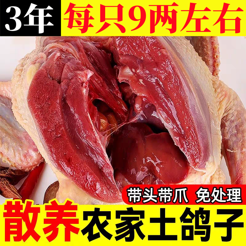 鸽子新鲜现杀农家散养土鸽子新鲜乳鸽滋补炖汤鸽子肉原粮老鸽顺丰,水产肉类/新鲜蔬果/熟食,乳鸽,淘宝优惠券,粉丝福利购,淘宝优惠卷