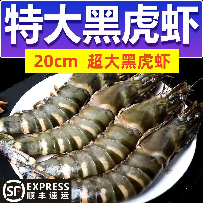 超大新鲜黑虎虾鲜活速冻虎斑虾