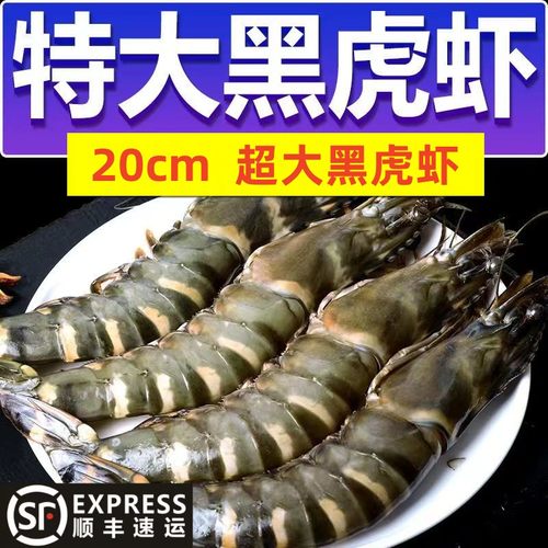 寰球邮鲜无冰净重黑虎虾特大速冻