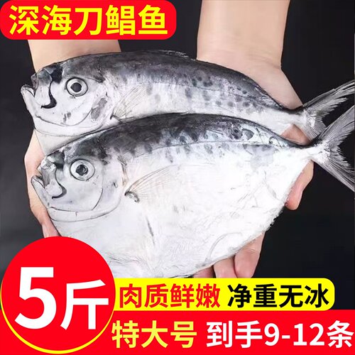 寰球邮鲜海捕野生冷冻无冰鲳鱼