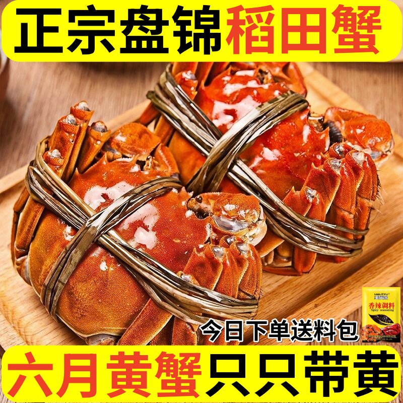 抢先六月黄正宗盘锦河蟹3斤装