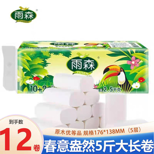 雨森卫生纸春意盎然5斤装无芯卷纸家庭实惠装手纸厕纸宿舍用纸