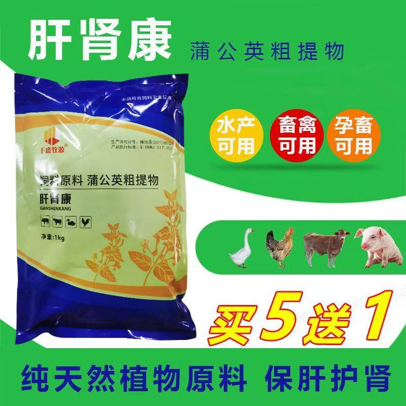 买五送一鸽子用药补血消肿肝肾康
