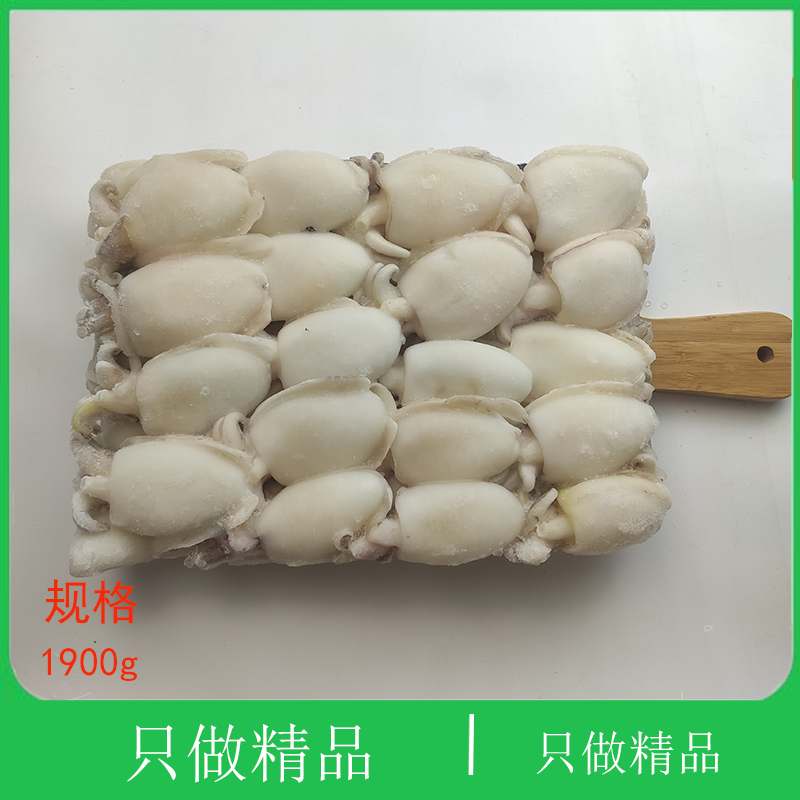 大连海鲜海猛花枝乌贼墨斗鱼冷冻海兔子新鲜籽乌笔管鱼乌贼墨鱼仔