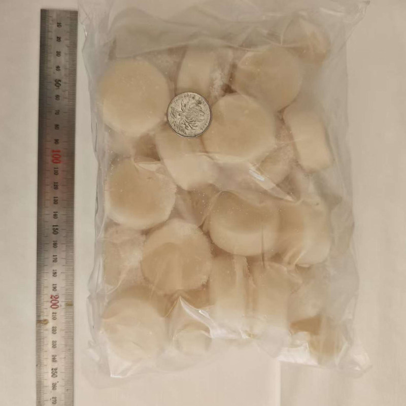 大连海鲜新鲜绿贝绿甲烧烤扇贝大贝类蛤蜊合成清蒸澳大带子肉