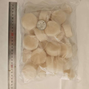 大连海鲜新鲜绿贝绿甲烧烤扇贝大贝类蛤蜊合成清蒸澳大带子肉