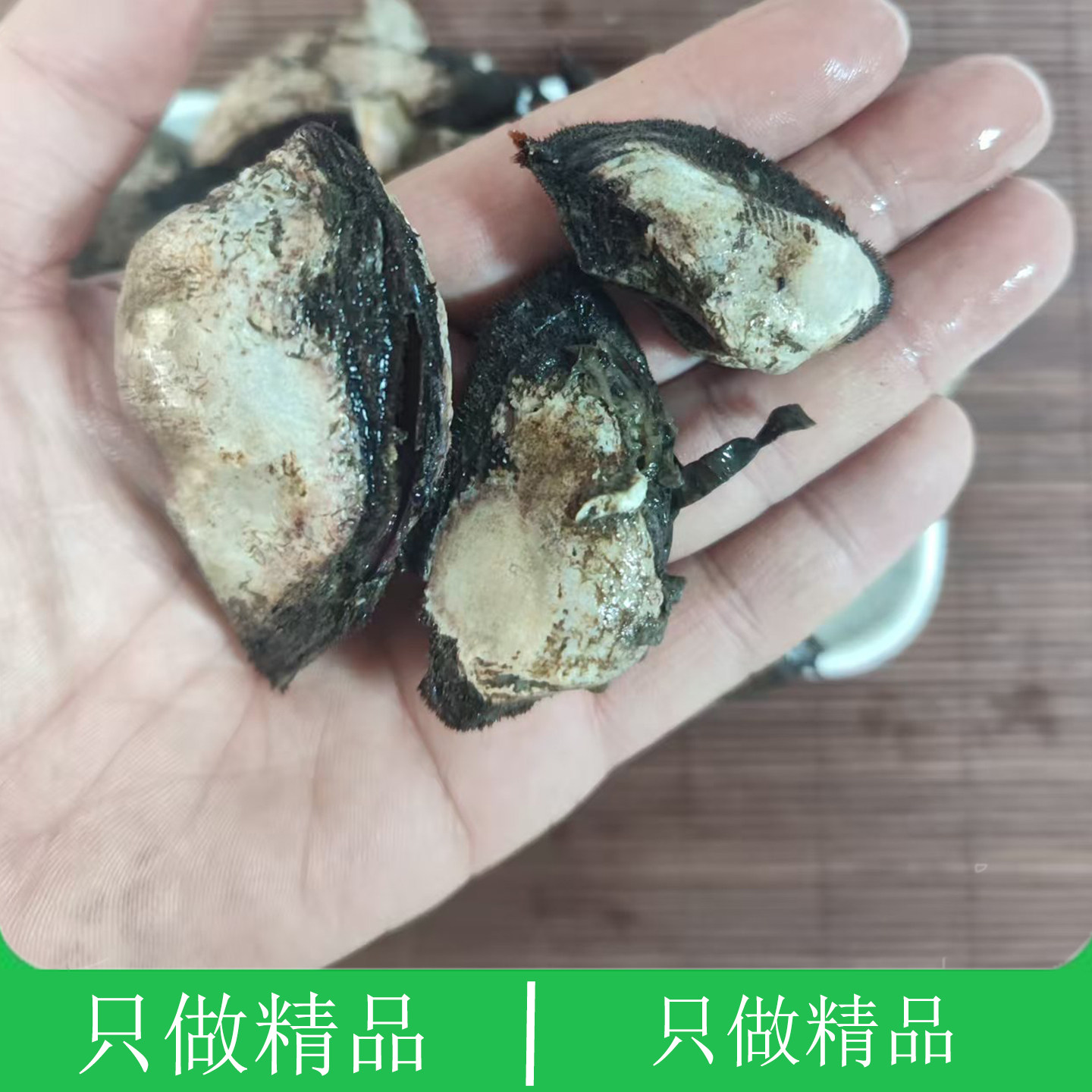 大连海鲜特产贻贝青口贝壳新鲜烧烤凉拌劲道贝类扇贝羊蹄蛤羊蹄螺