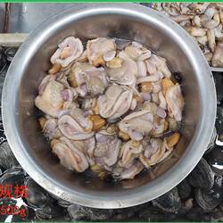 大连海鲜鹅贝天娥贝大鹅蛋鸟贝蛤蜊紫石房蛤烧烤新鲜天鹅蛋肉贝肉