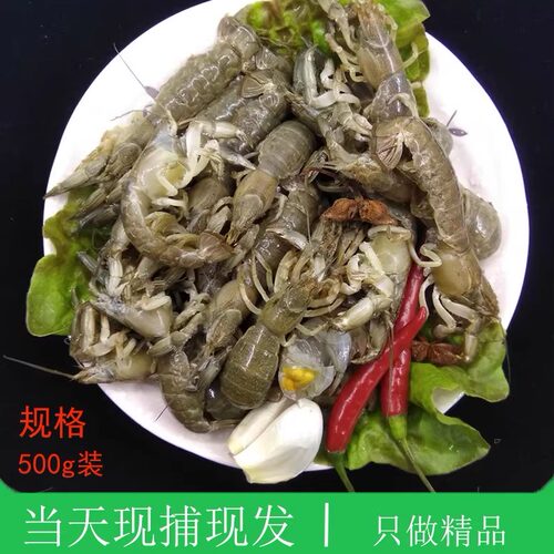 大连海鲜特产鲜活当天现捕